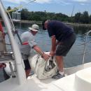 Sails to Barracuda: Peter and Tony putting main in the dinghy.
